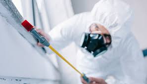 Best Emergency Pest Control  in Escanaba, MI